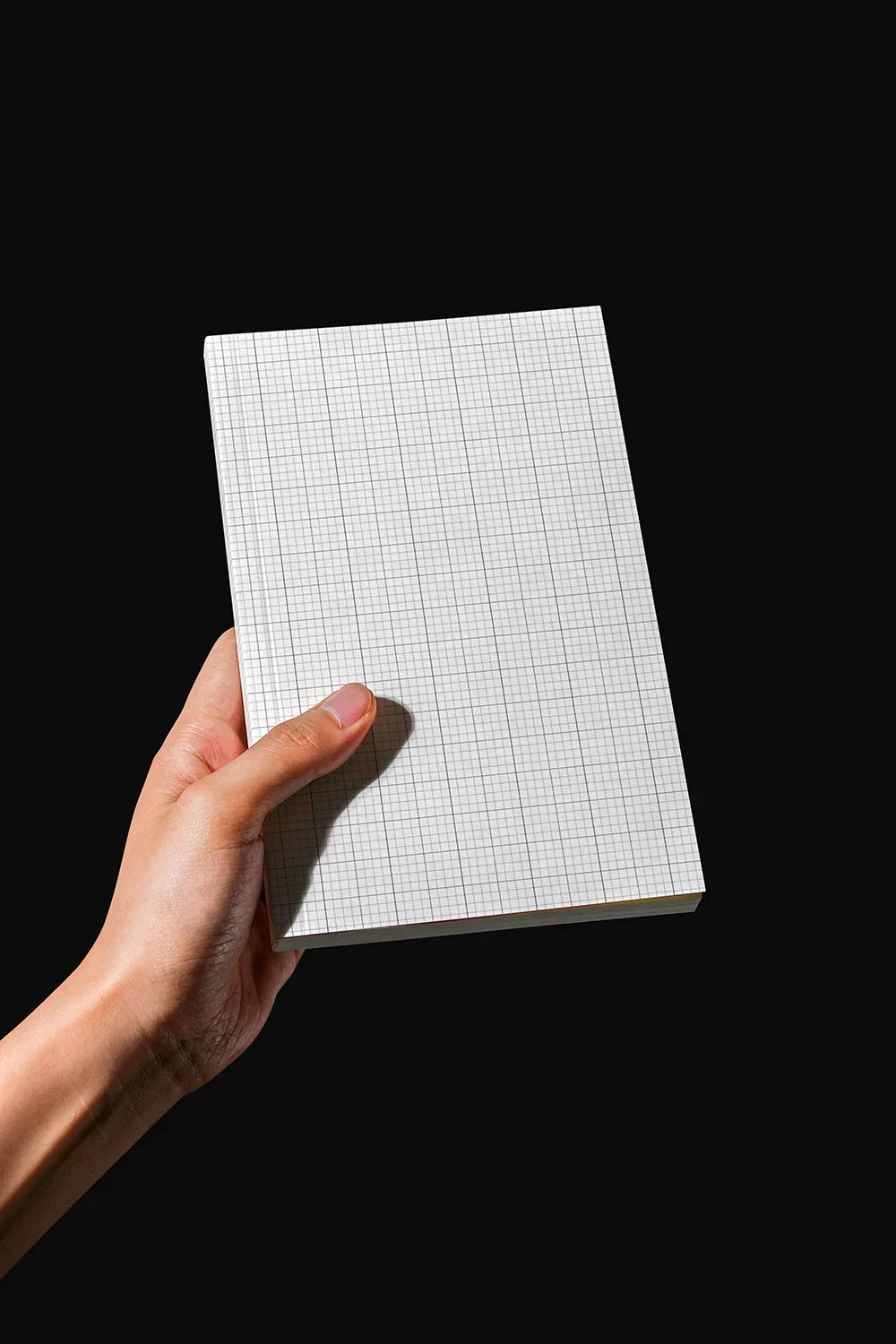 Design Studies: Book Mockup - Image 3