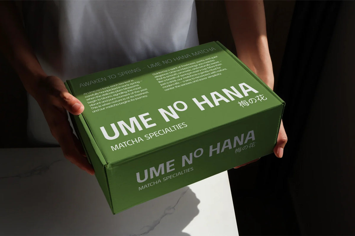 Design Studies: Box Packaging Mockup - Image 2