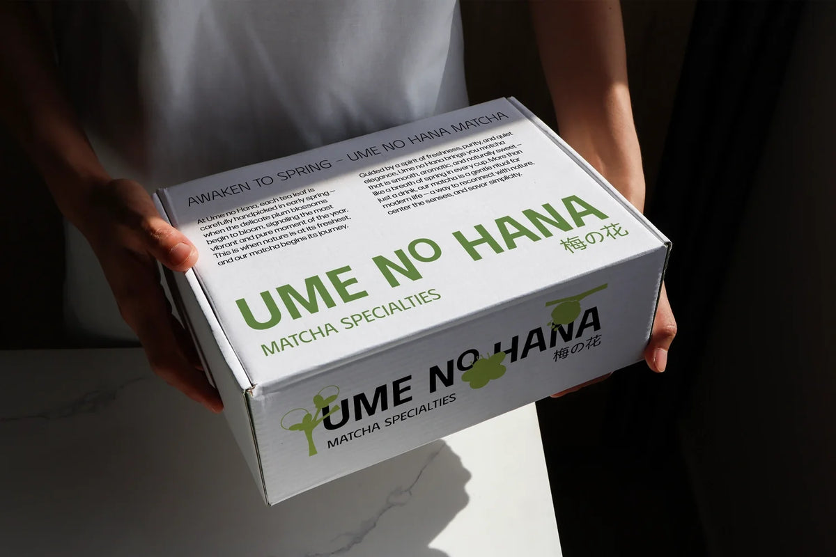 Design Studies: Box Packaging Mockup