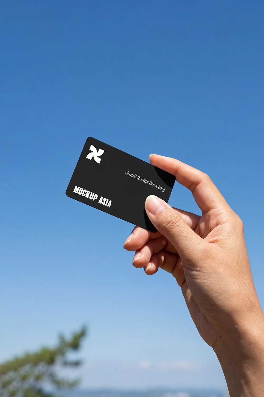 Design Studies: Card Mockup