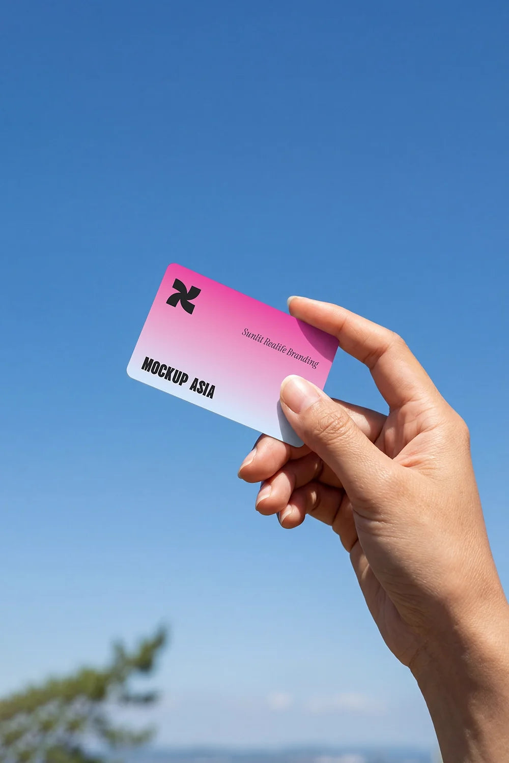 Design Studies: Card Mockup - Image 3
