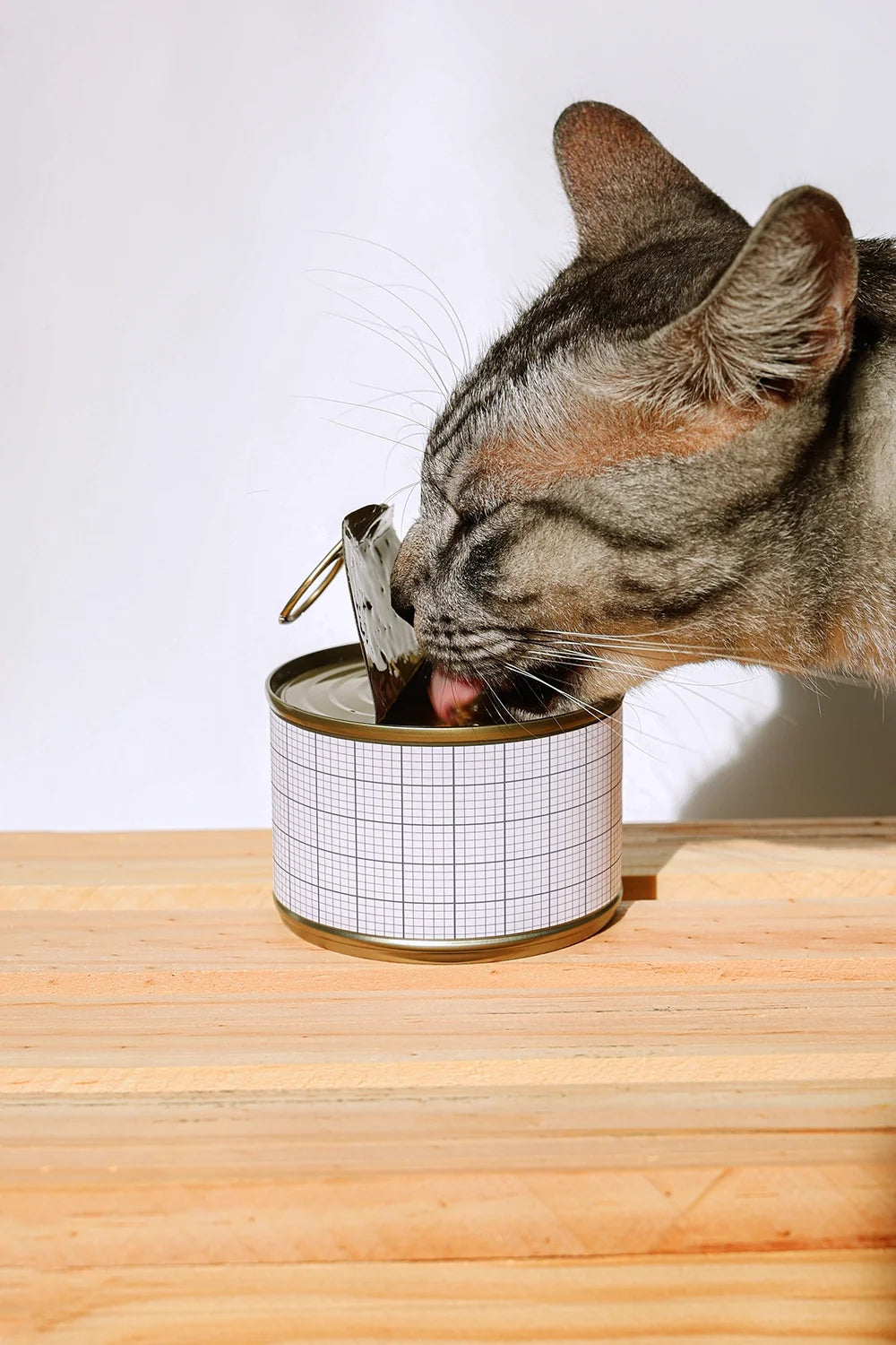 Design Studies: Cat Food Can Mockup - Image 3