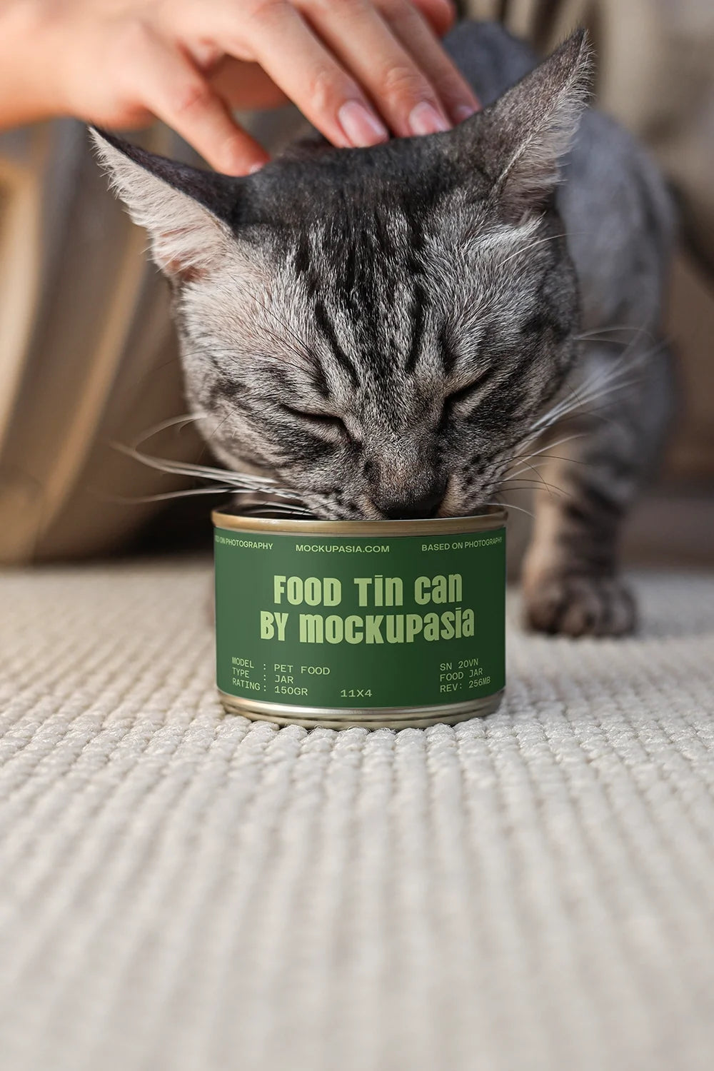 Design Studies: Cat Food Can Mockup