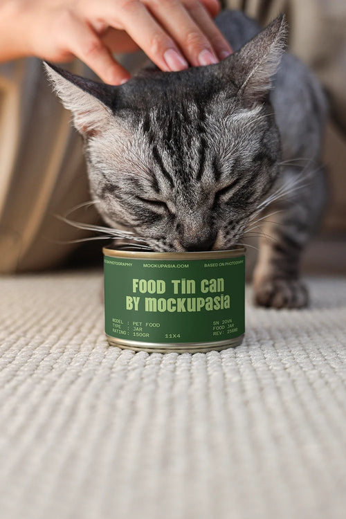 Design Studies: Cat Food Can Mockup