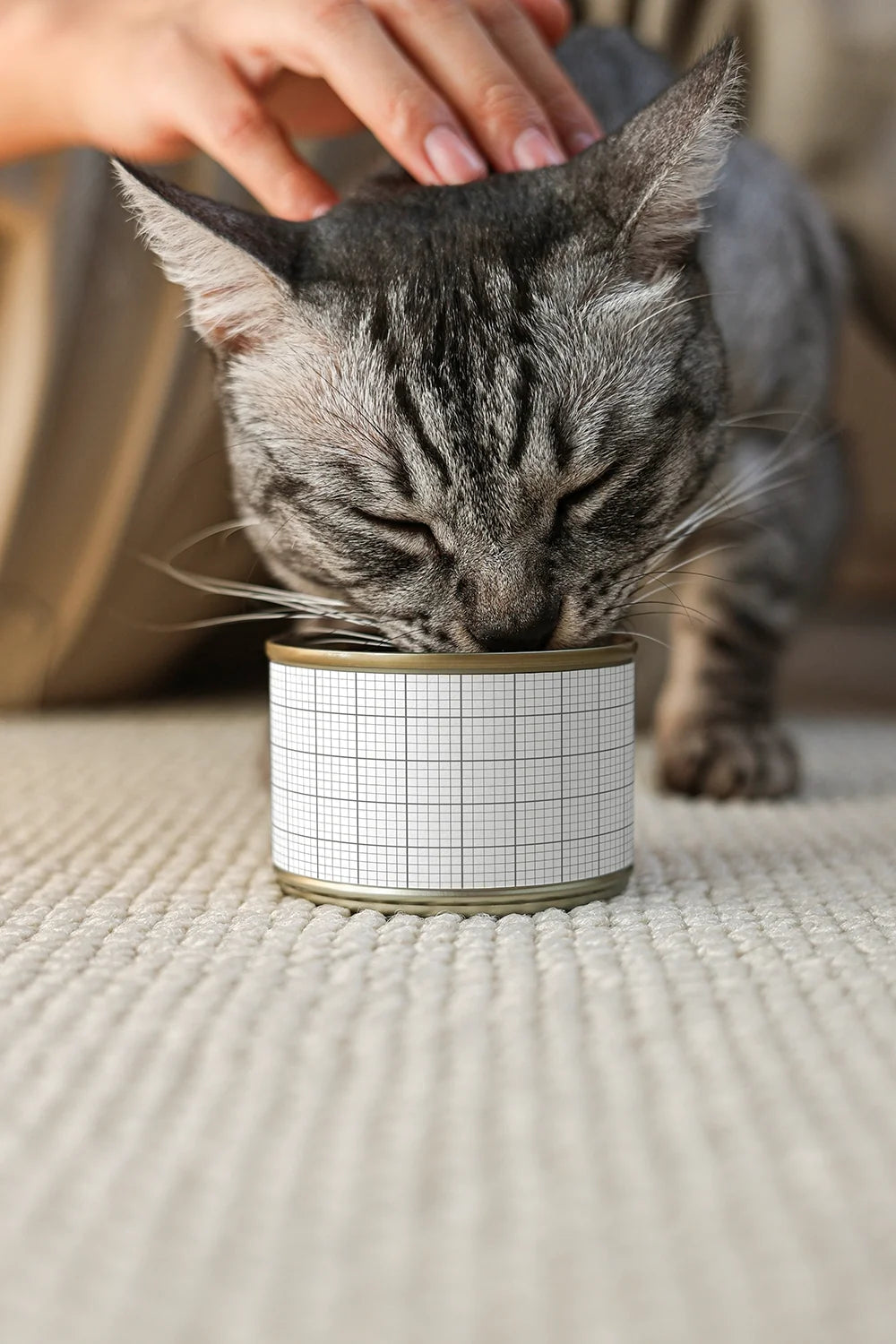 Design Studies: Cat Food Can Mockup - Image 3