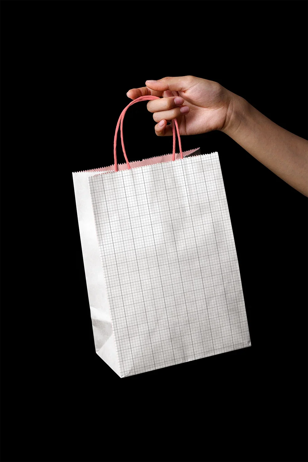 Design Studies: Kraft Paper Bag Mockup - Image 3