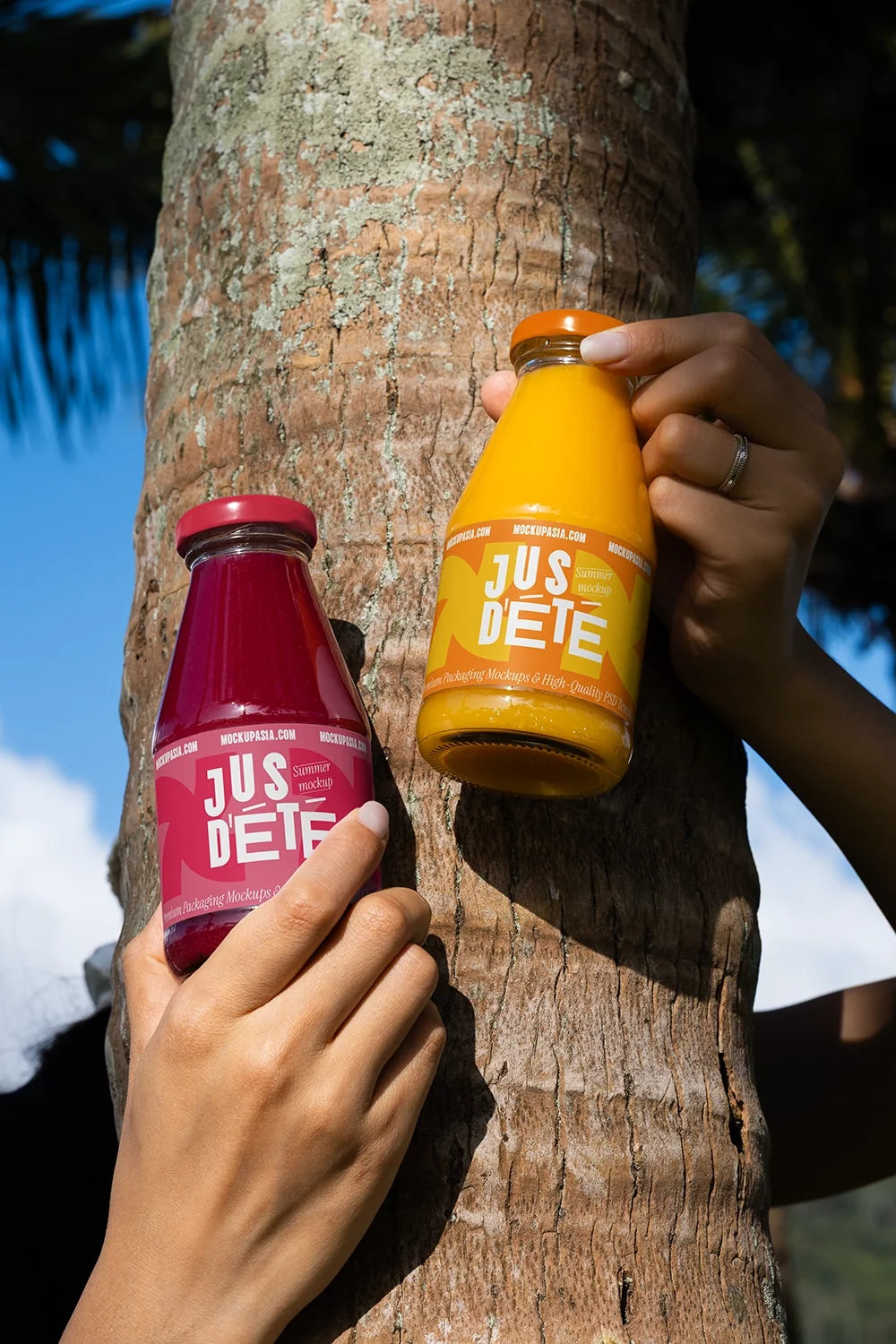Design Studies: Juice Bottle Label Mockup Collection