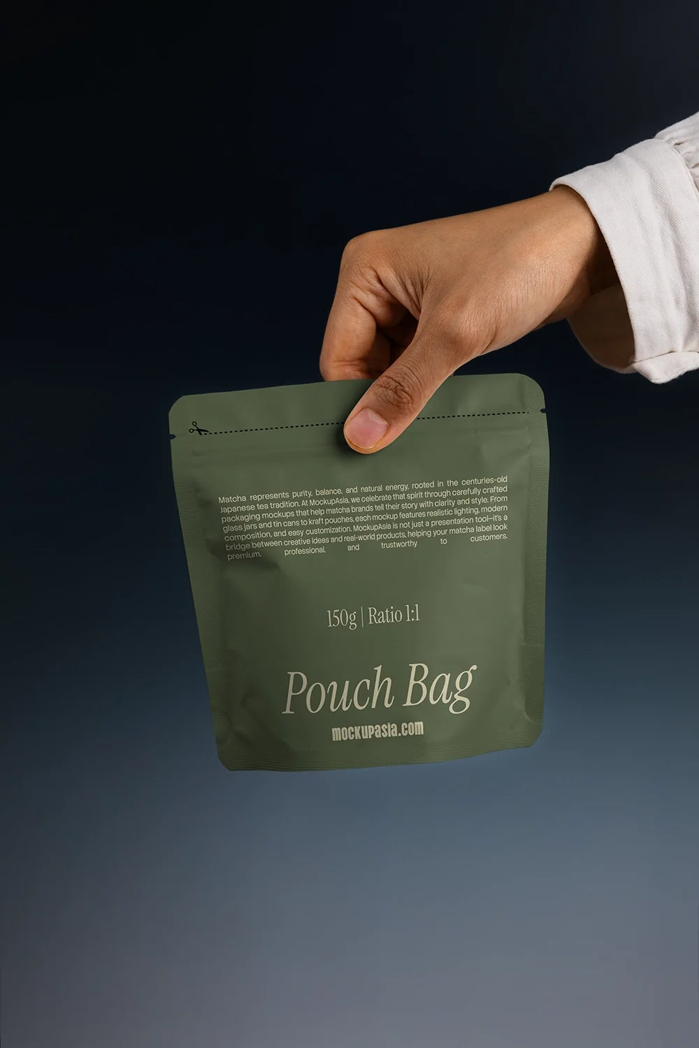 Design Studies: Pouch Bag Mockup