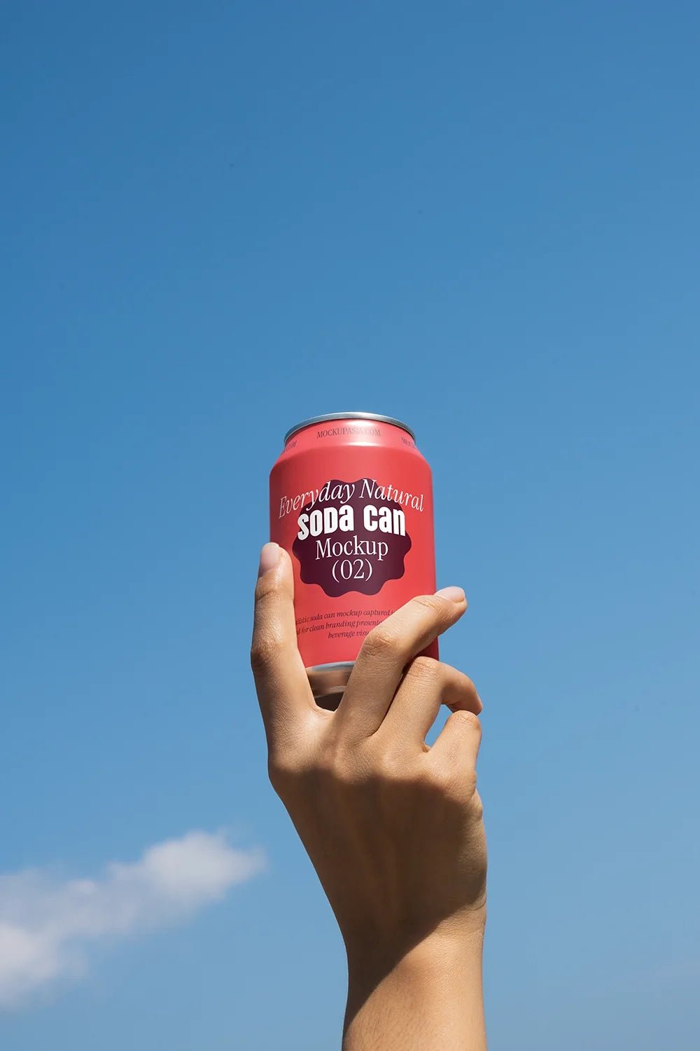 Design Studies: Soda Can Mockup
