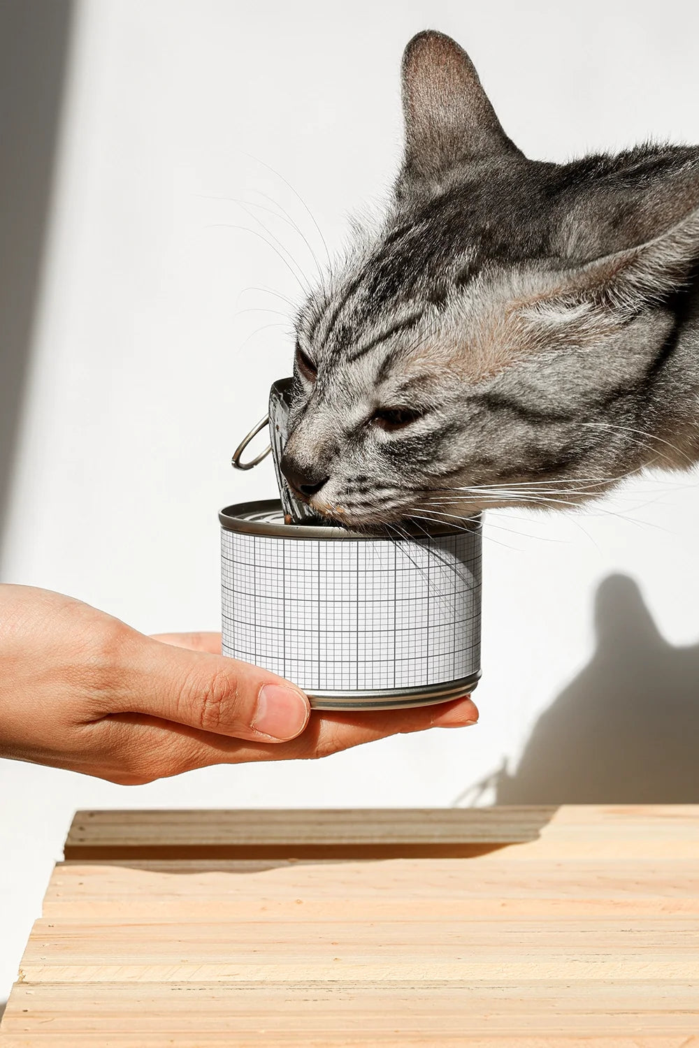 Design Studies: Cat Food Can Mockup - Image 3